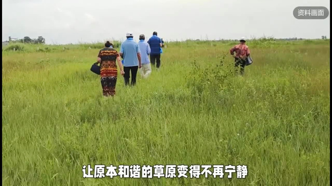 内蒙古24人采摘沙葱韭菜花被查处，一场关于自然保护与法律意识的探讨